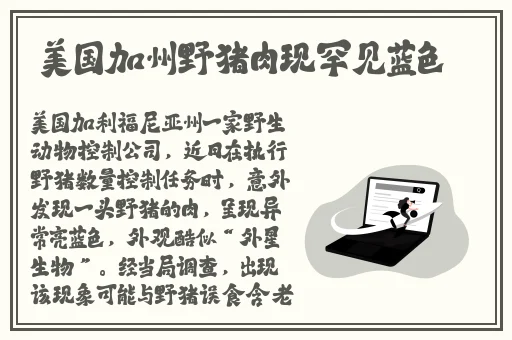 A33三 版普通话版