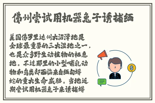 迈开腿让我看看你里面的